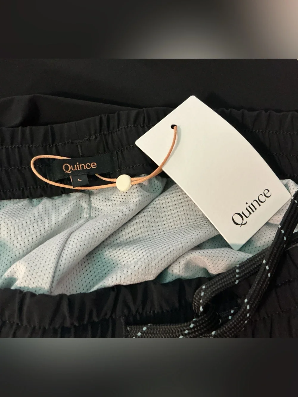 NWT Quince Men’s Black Swimming Trunks